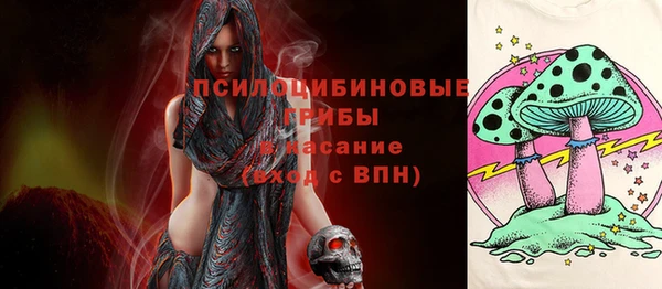 тгк Алзамай