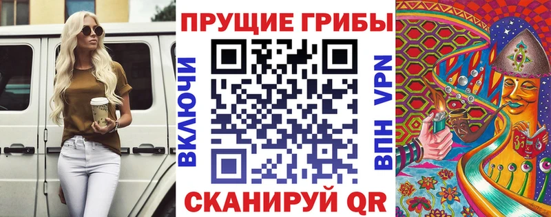 Псилоцибиновые грибы Psilocybine cubensis блэк спрут сайт Яхрома сайты даркнета как зайти где можно купить наркотик